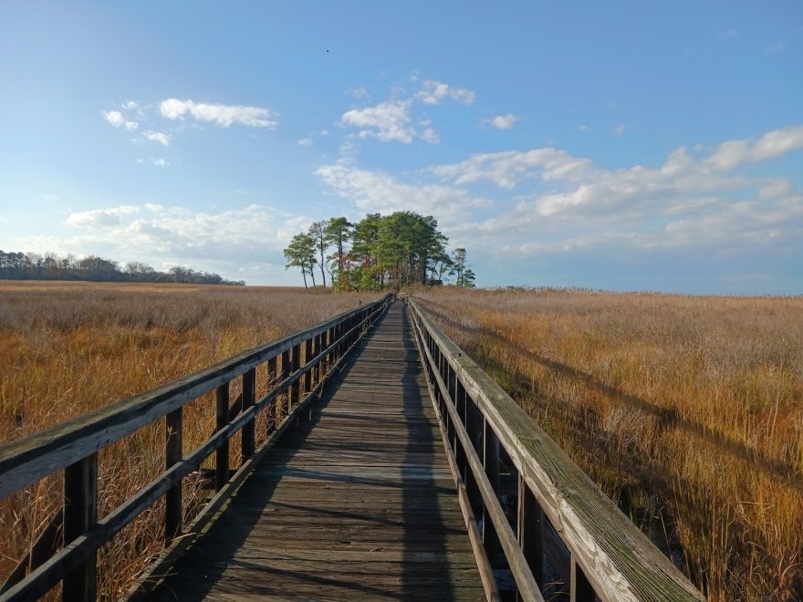 Eastern Neck National Wildlife Refuge