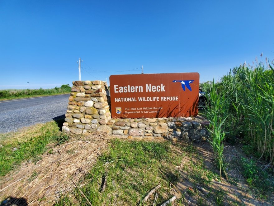 Eastern Neck National Wildlife Refuge