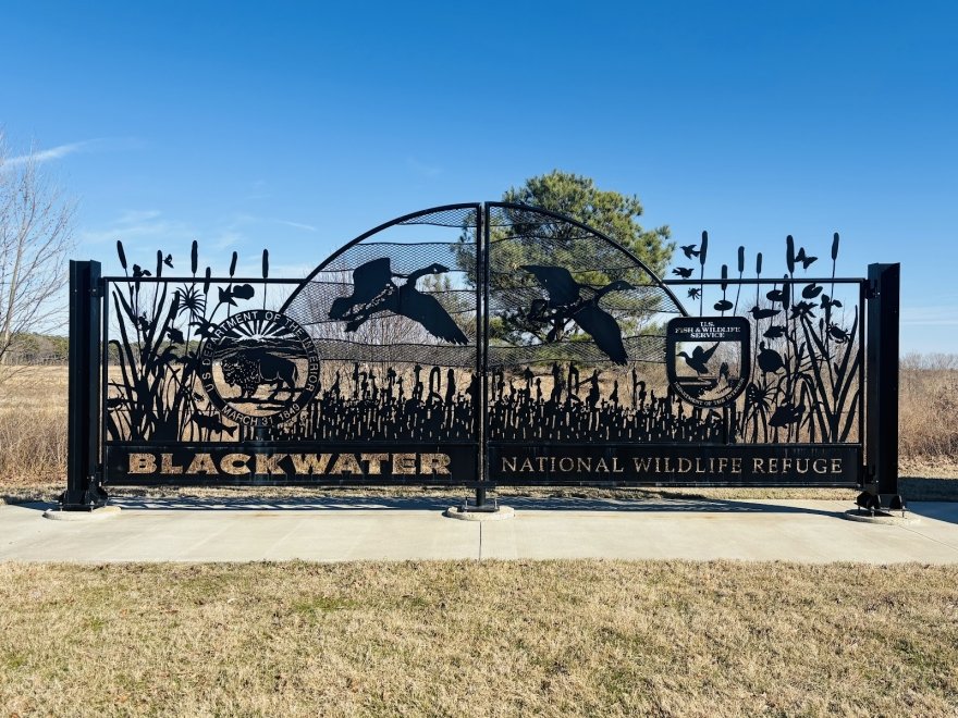 Blackwater National Wildlife Refuge Visitor Center