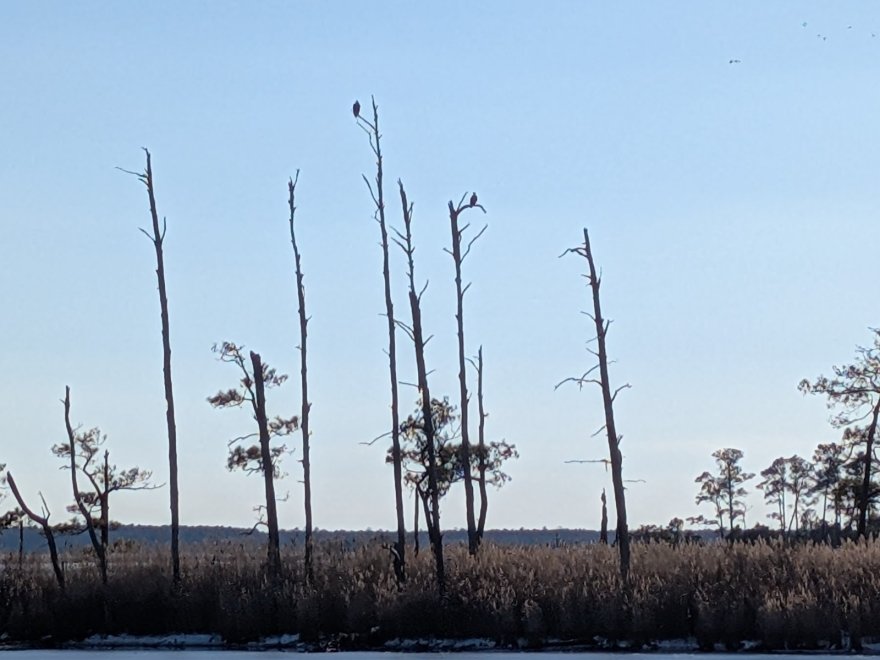 Blackwater National Wildlife Refuge Visitor Center