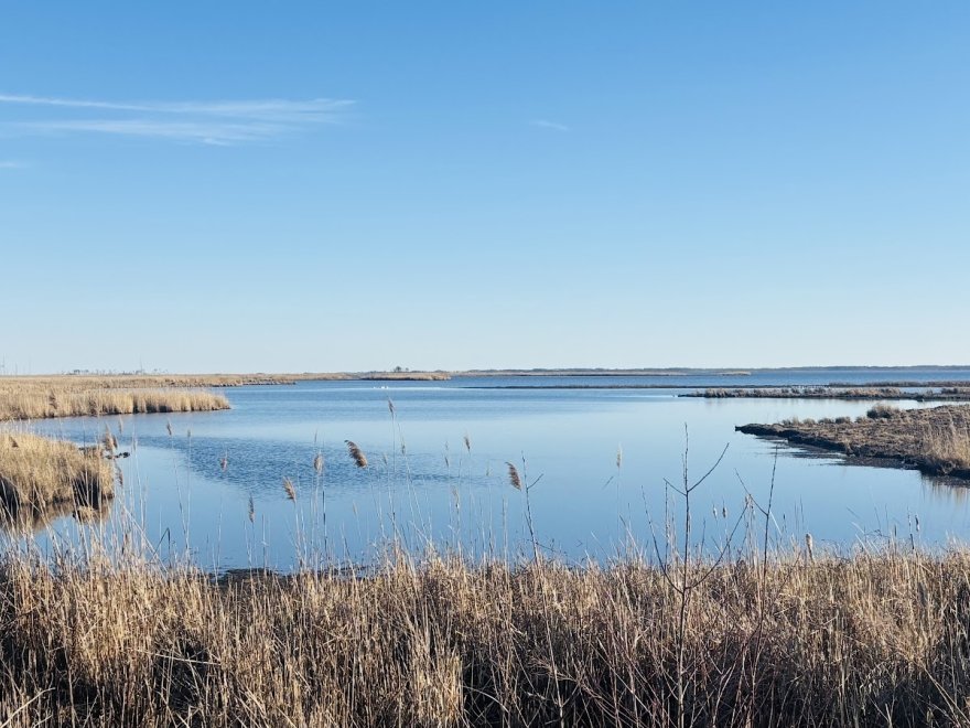 Blackwater National Wildlife Refuge Visitor Center