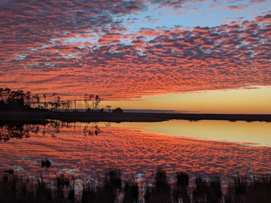 Blackwater National Wildlife Refuge Visitor Center