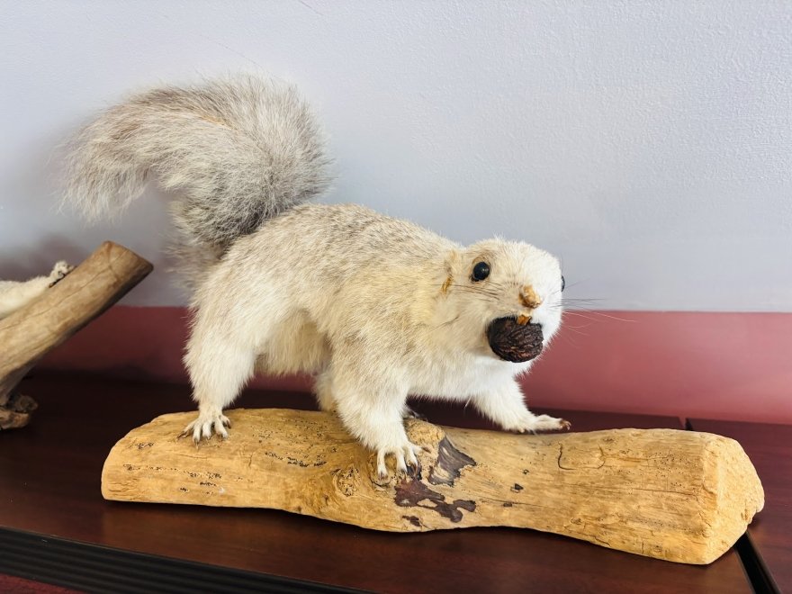 Blackwater National Wildlife Refuge Visitor Center