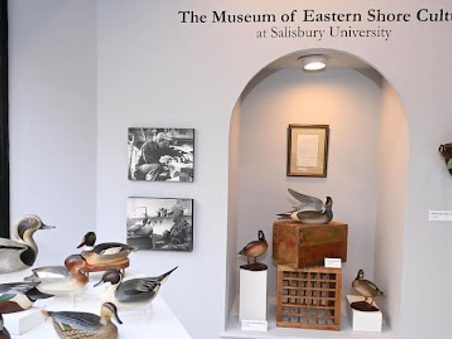 Museum of Eastern Shore Culture at Salisbury University