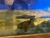 Delmarva Discovery Museum