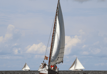 skipjack-races.png
