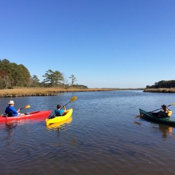 People kayaking