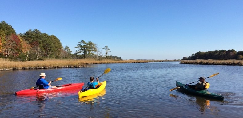 People kayaking