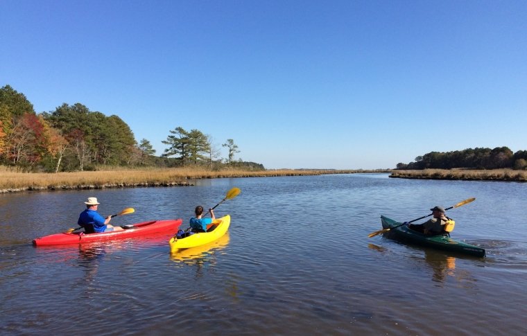 People kayaking