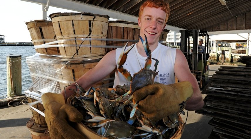 Crabs Boy holding a bushel of crabs
